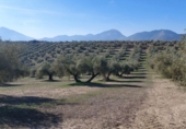 Non-developable land for sale in Quesada ref: TR252382 photo