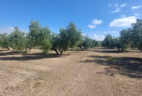 Quesada 16000&nbsp;м²