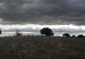 Non-developable land for sale in Colmenar Viejo ref: TR53371 photo
