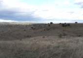Non-developable land for sale in Colmenar Viejo ref: TR53371 photo