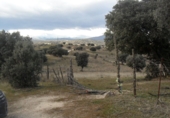 Non-developable land for sale in Colmenar Viejo ref: TR53371 photo