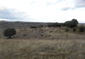 Non-developable land for sale in Colmenar Viejo ref: TR53371 photo