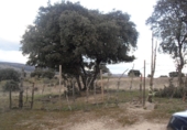 Non-developable land for sale in Colmenar Viejo ref: TR53371 photo