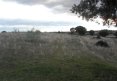 Non-developable land for sale in Colmenar Viejo ref: TR53371 photo