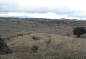 Non-developable land for sale in Colmenar Viejo ref: TR53371 photo