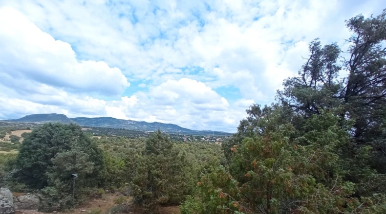 Comunidad de Madrid - Navallera - 540000m2