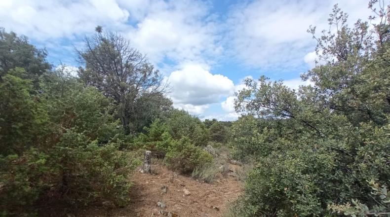 Comunidad de Madrid - Navallera - 540000m2
