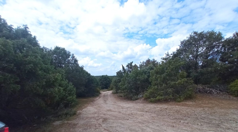 Comunidad de Madrid - Navallera - 540000m2