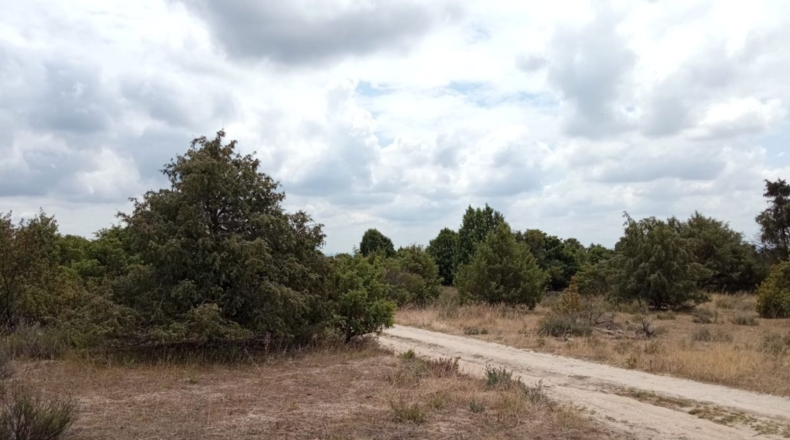 Comunidad de Madrid - Navallera - 540000m2