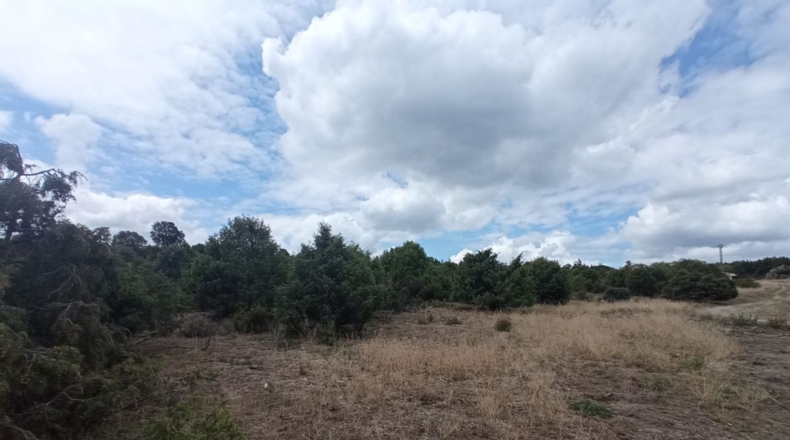 Comunidad de Madrid - Navallera - 38000m2