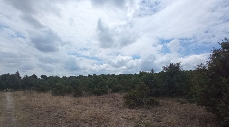 Comunidad de Madrid - Navallera - 38000m2