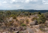 Non-developable land for sale in Hoyo de Manzanares ref: TR81435 photo