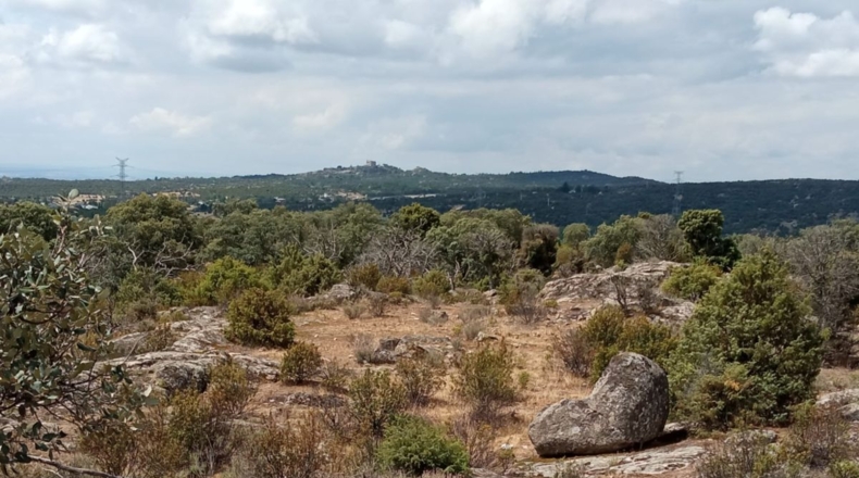 Comunidad de Madrid - Navallera - 90000m2