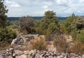 Non-developable land for sale in Hoyo de Manzanares ref: TR81435 photo
