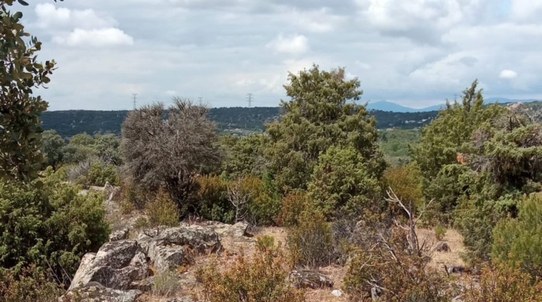 Comunidad de Madrid - Navallera - 90000m2