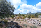 Non-developable land for sale in Hoyo de Manzanares ref: TR81435 photo