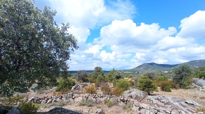 Comunidad de Madrid - Navallera - 90000m2