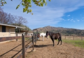 Finca rústica en venta en Colmenar Viejo ref: TR361324 foto