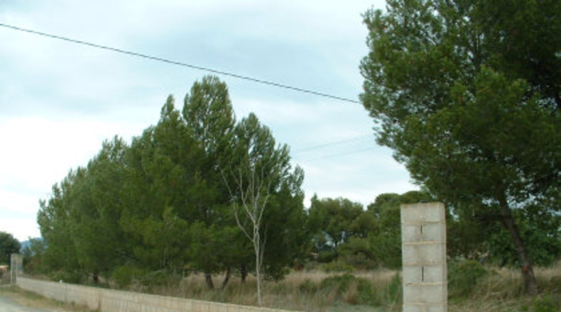 Valencia - Bétera - 1942m2