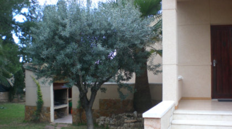 Valencia - Bétera - 2500m2