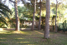 Foto 20