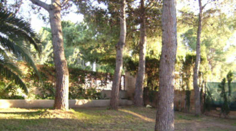 Valencia - Bétera - 2500m2