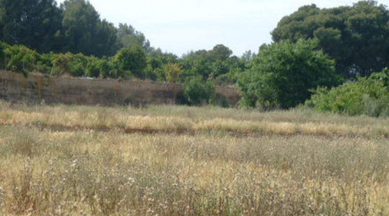 Valencia - Bétera - 730m2