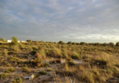 Land suitable for development for sale in Bétera ref: TR53368 photo