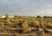 Land suitable for development for sale in Bétera ref: TR53368 photo