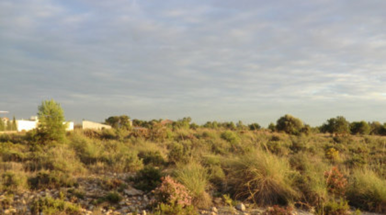 Valencia - Bétera - 591m2