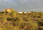 Land suitable for development for sale in Bétera ref: TR53368 photo