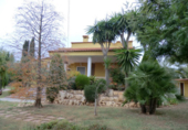 Chalet independiente con terreno en venta en Bétera ref: TR28021 foto