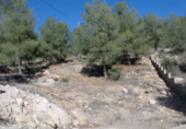 Parcela urbanizable en venta en Burjassot ref: TR22049 foto