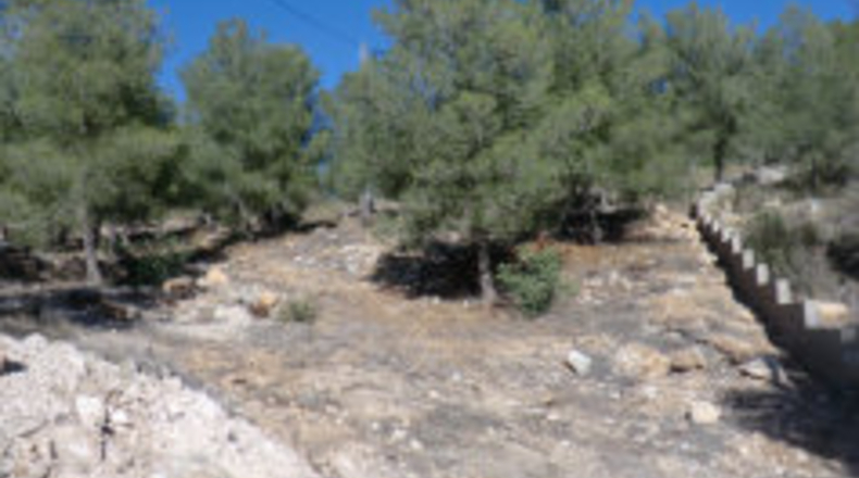 Valencia - Chiva - 2133m2