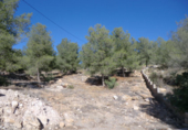 Parcela urbanizable en venta en Burjassot ref: TR22049 foto