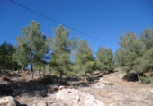 Parcela urbanizable en venta en Burjassot ref: TR22049 foto