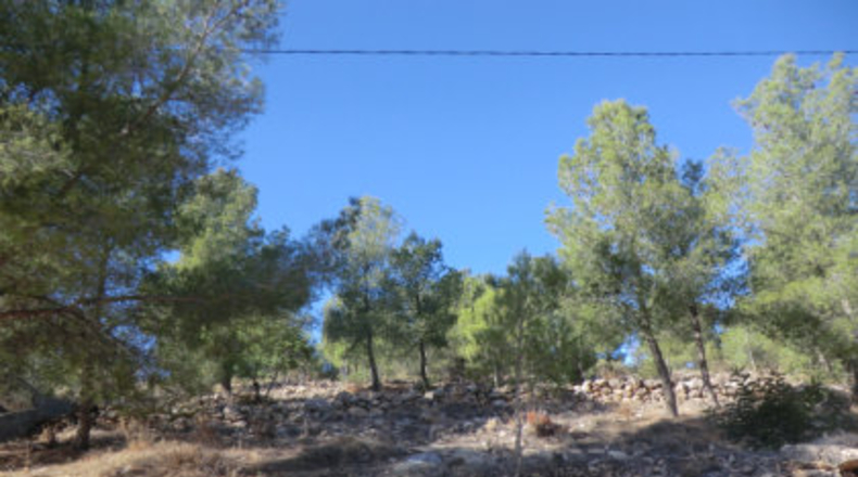 Valencia - Chiva - 2133m2
