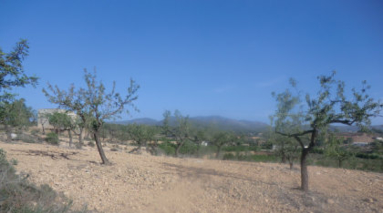 Valencia - La Loma - 10m2