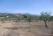 Terreno no urbanizable en venta en Náquera ref: TR22050 foto