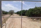 Non-developable land for sale on España, Torrent, ref: TR53366 photo