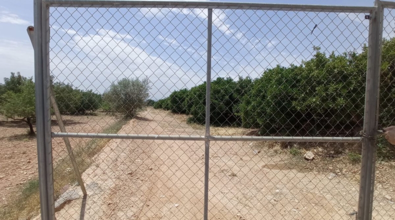 Valencia - Nàquera / Náquera - 12555m2