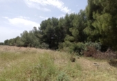 Non-developable land for sale on España, Torrent, ref: TR53366 photo