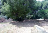 Non-developable land for sale on España, Torrent, ref: TR53366 photo