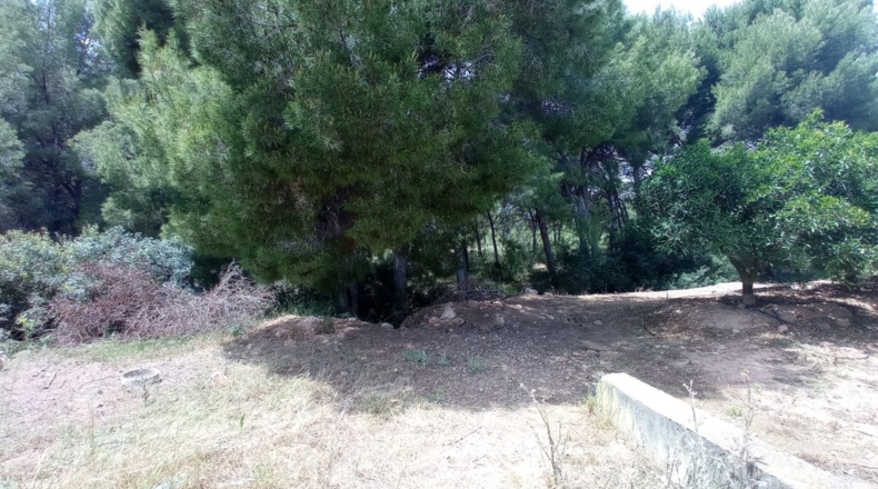 Valencia - Nàquera / Náquera - 12555m2