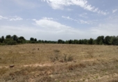 Non-developable land for sale on España, Torrent, ref: TR53366 photo
