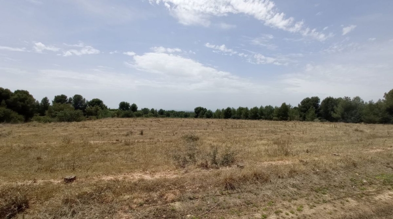 Valencia - Nàquera / Náquera - 12555m2