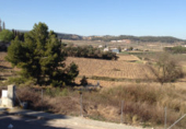 Отдельно стоящий дом с участком на продажу в городе Vilafranca del Penedès. Фото