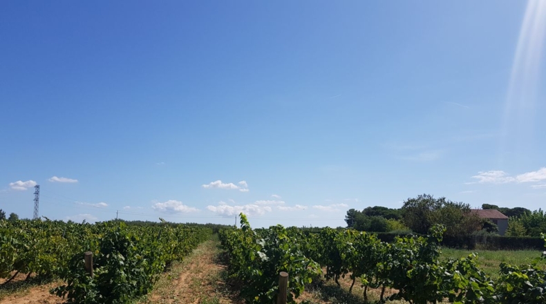 Barcelona - Santa Margarida i els Monjos - 3000m2