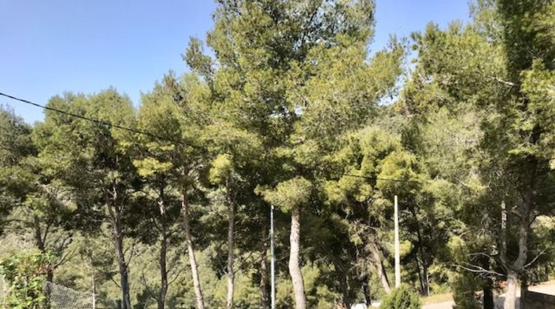 Barcelona - les Palmeres - 586m2