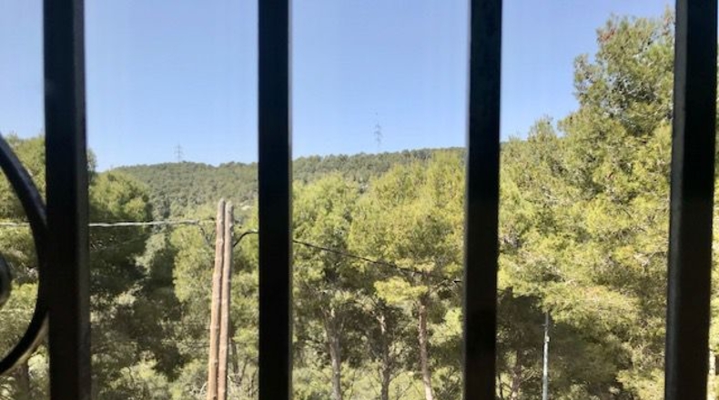 Barcelona - les Palmeres - 586m2